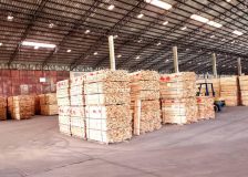 UK’s softwood imports see a strong start of 2023