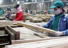 Vietnam’s wood exports have fallen sharply due to lack of orders