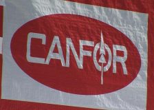 Challenging first quarter for Canfor