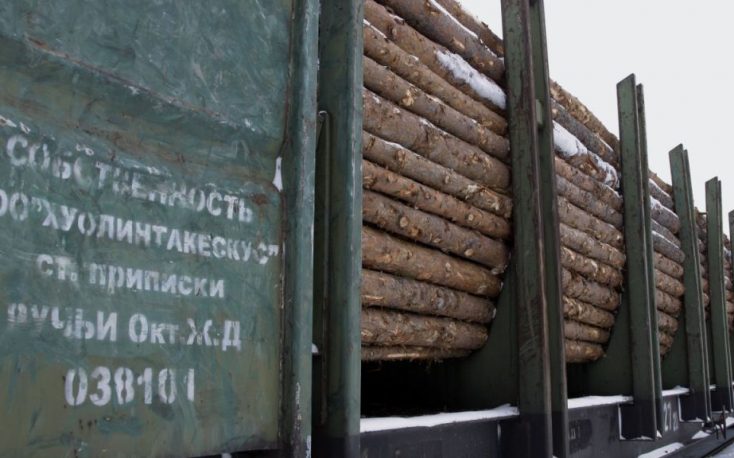 Russian timber prices expected to rise due to transport restrictions and sanctions