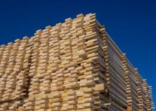 The business mood in the German timber industry improved in April