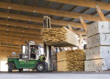 US timber producers expect stronger demand for lumber