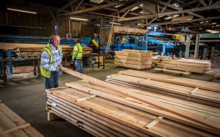 Premier Forest Products to sell a sawmill in South Wales