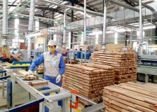 Vietnam: Timber companies call for support as wood exports slump