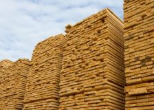 Wood prices falling significantly in Germany