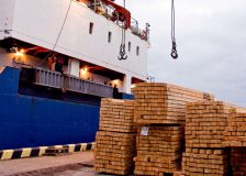 European lumber exports have emerged as the success story of 2023 thus far