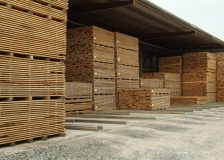 Hardwood log supply under increasing strain in Europe