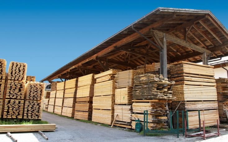 Wood prices collapse drastically in Germany – market completely out of joint