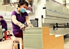 China’s plywood industry on a downward trend in H1/2023