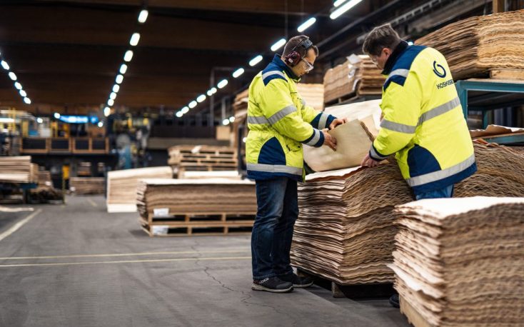 Koskisen invests in thin plywood production in Hirvensalmi