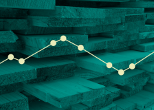 Recovery reported in UK’s softwood imports