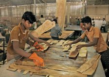 Indian plywood industry back to pre-pandemic levels