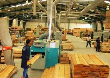 Timber shortage forces changes in Finnish timber industry