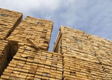 Wood prices are collapsing drastically in Europe