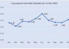 New Zealand’s log price exports to China show signs of recovery