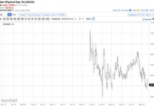 The November US election could determine lumber demand and prices