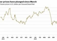 US lumber prices dragged down by housing affordability and the post-pandemic bubble