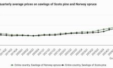 Sweden: +30% increase in sawlog prices in 2024