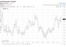 US lumber prices in 2025: Volatility expected for the months ahead