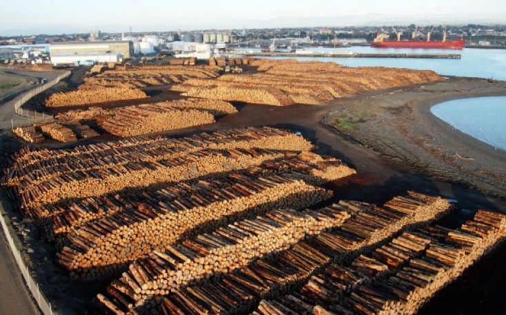 New Zealand: Log export recovery expected, but hard to predict