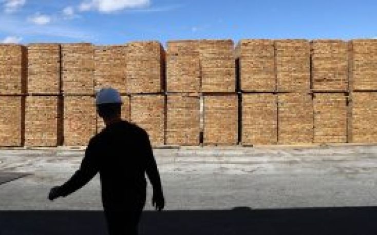 Raw materials scarcity impacting global sawmill production