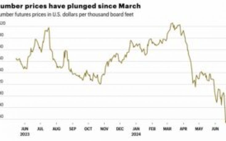 US lumber prices dragged down by housing affordability and the post-pandemic bubble