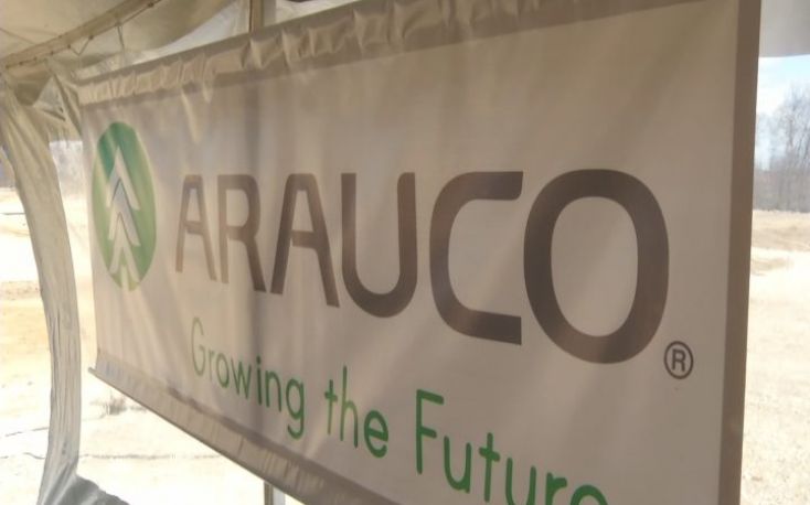 Arauco reports lower sales and prices of wood-based panels, especially MDF