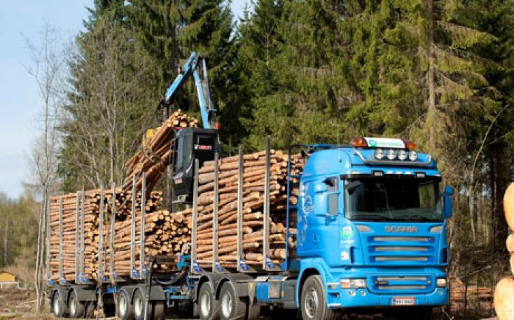 The EU wants to begin trade arbitration with Ukraine to lift timber exports moratorium