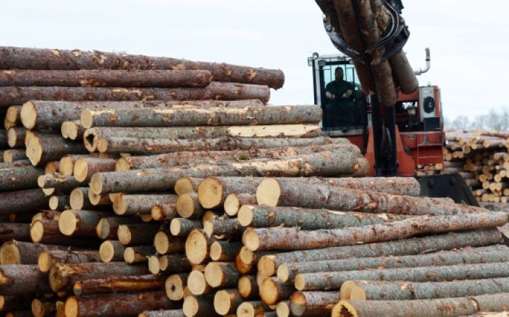 Swedish softwood logs prices keep on going down