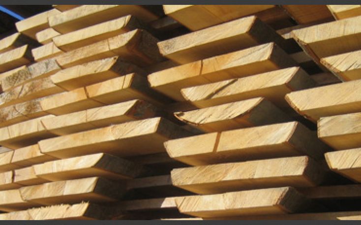 Croatia to host the largest unedged beech lumber sawmill