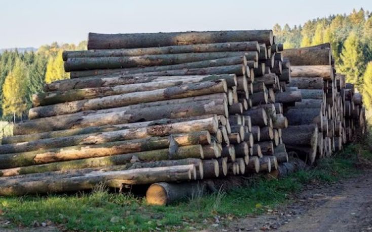 Spruce log prices mostly decreasing in Germany