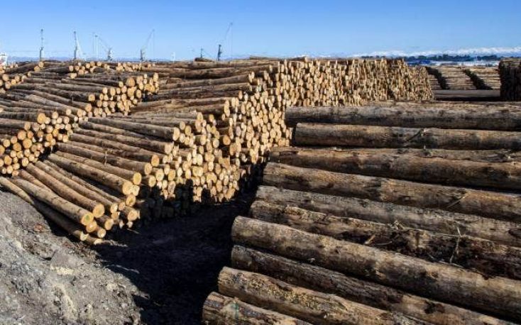 Log prices start to rise in China as supply tightens