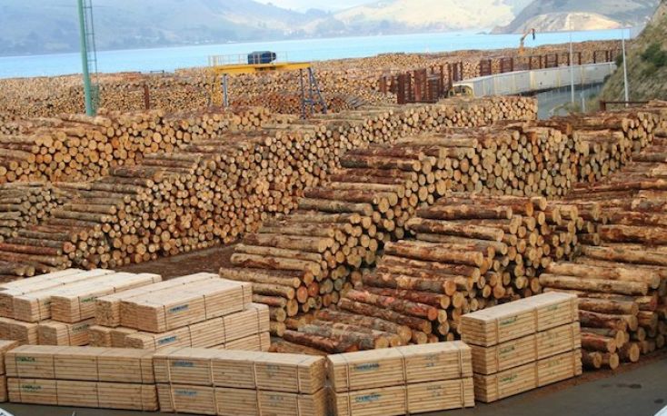 Russian timber exports witness steep decline as EU sanctions take effect