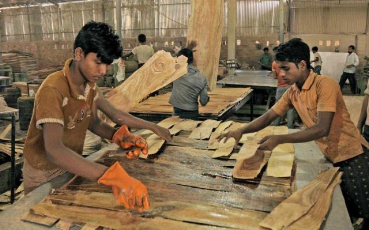 Indian plywood industry back to pre-pandemic levels