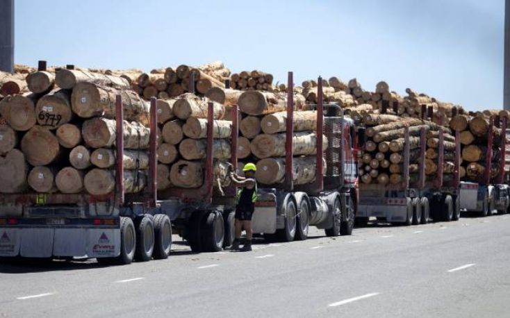 New Zealand log export prices rise in January and February