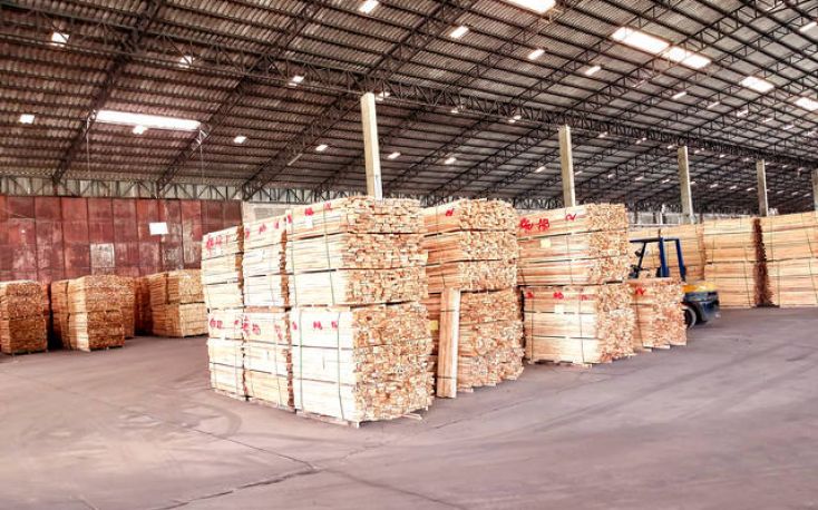 UK’s softwood imports see a strong start of 2023