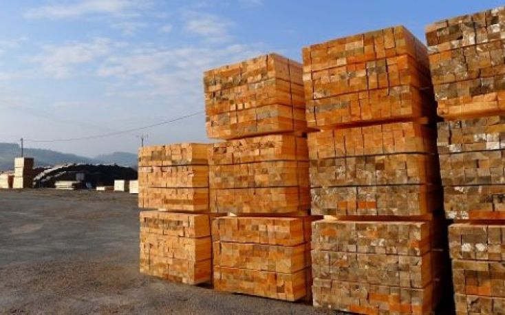 France: Lumber price list for Q4/2018