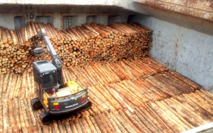 First shipments of New Zealand radiata pine to China expected soon