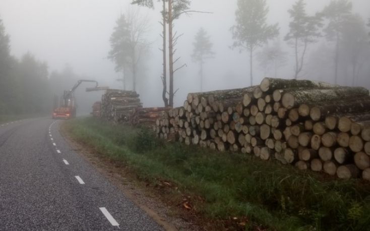 Research: The EU will not achieve its climate goals without reducing logging