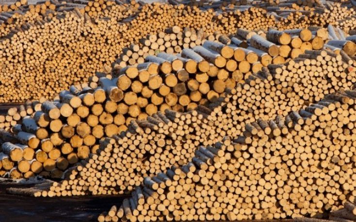 Log demand in China doesn’t meet expectations at the moment