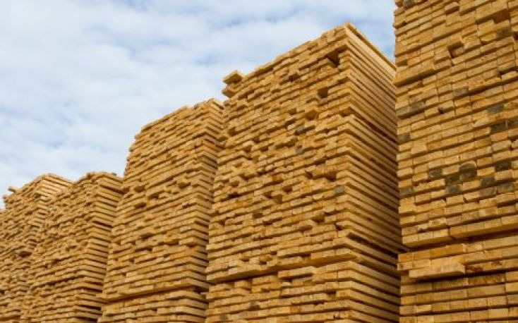 Wood prices falling significantly in Germany