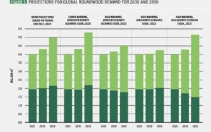 Projections to 2050 indicate significant increases in global wood demand