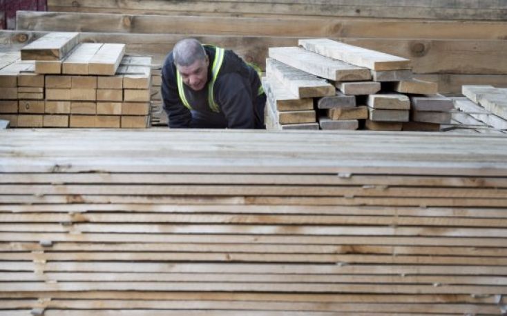 Europe’s softwood lumber market faces mixed prospects amidst global uncertainties