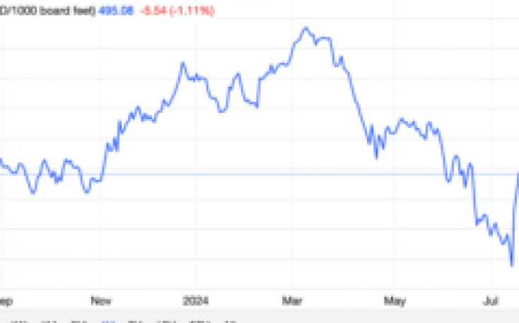 US lumber prices rise 20% in July-rally comes completely unexpectedly