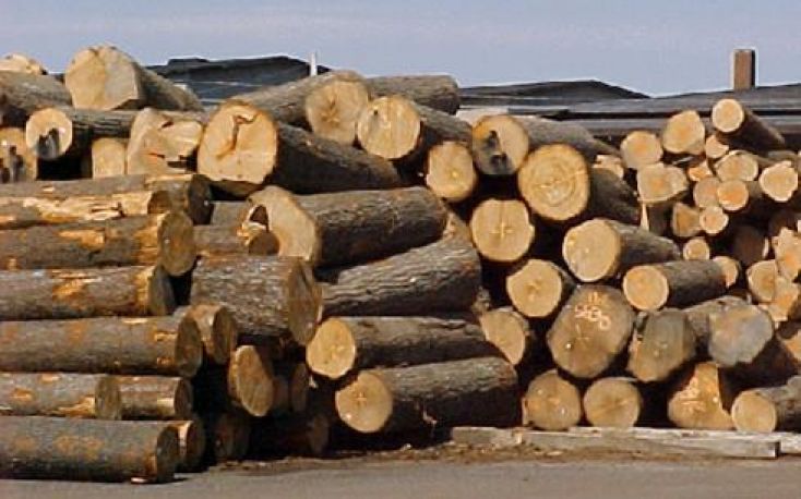 Wood products exports from Vietnam reaches 11.3% rise Q1-Q3 2017