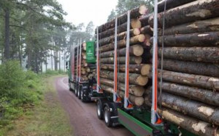 Södra announces pine and spruce timber price hikes; expects strong demand this spring