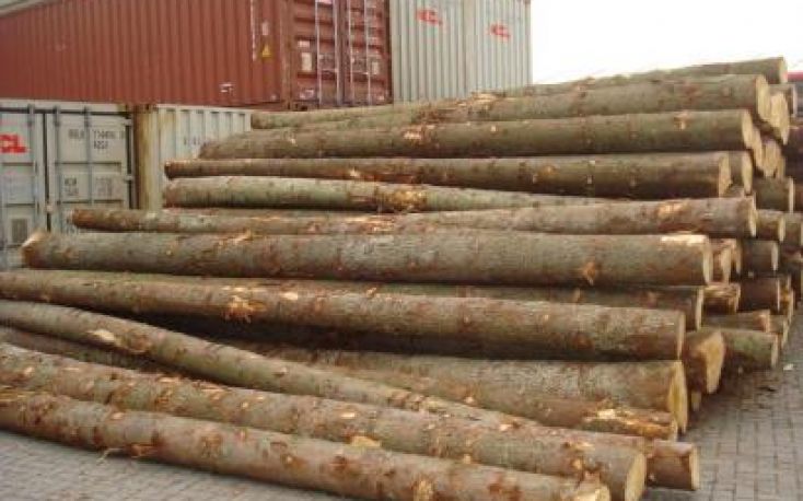 Germany: Spruce log prices on the rise