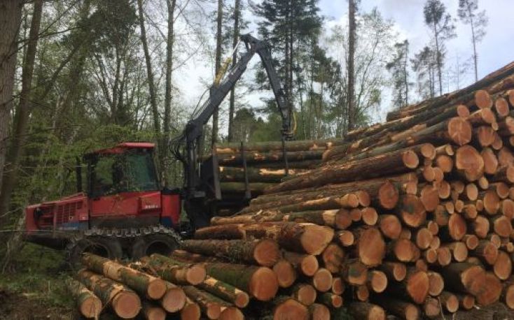 Irish roundwood timber supply predicted to rise by 68% until 2035