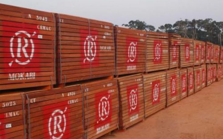 French Rougier Group files for bankruptcy, stops activity in Africa