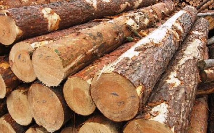 Roundwood trade in Finland reported great success for 2017; log prices went up